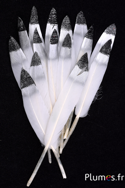 Oie Lame pointe argentée paillettes noires - 12-17 cm - blanc-crème